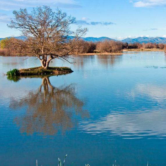 Parque Natural dels Aiguamolls de l'Empordà