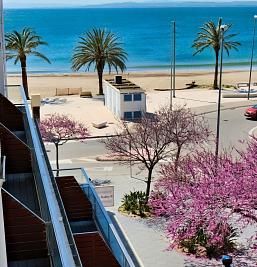 Galeria d'imatges de l'Hotel Marina