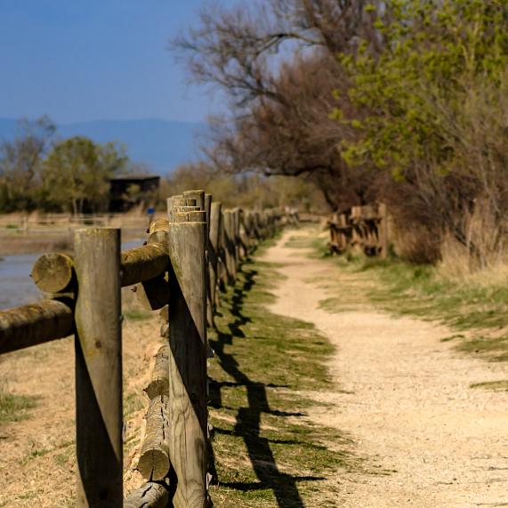 Aiguamolls de l’Empordà